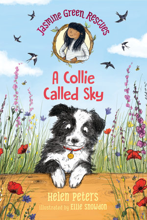 A Collie Called Sky (Jasmine Green Rescues...)